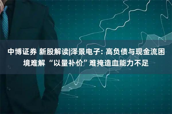 中博证券 新股解读|泽景电子: 高负债与现金流困境难解 “以量补价”难掩造血能力不足
