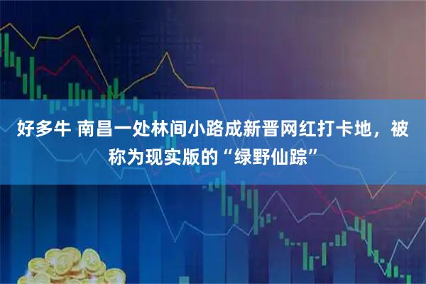 好多牛 南昌一处林间小路成新晋网红打卡地，被称为现实版的“绿野仙踪”