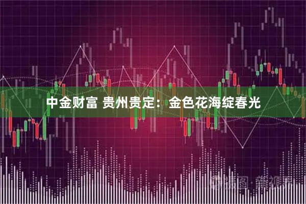 中金财富 贵州贵定：金色花海绽春光