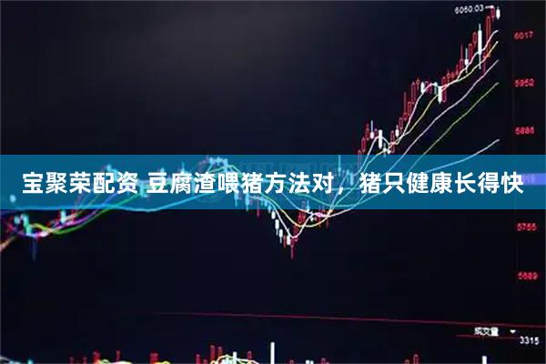 宝聚荣配资 豆腐渣喂猪方法对，猪只健康长得快