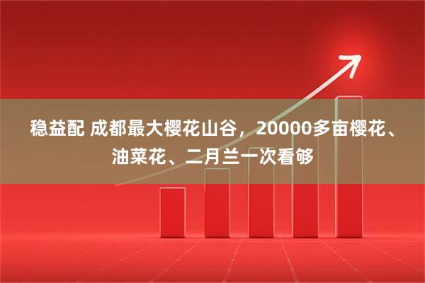 稳益配 成都最大樱花山谷，20000多亩樱花、油菜花、二月兰一次看够