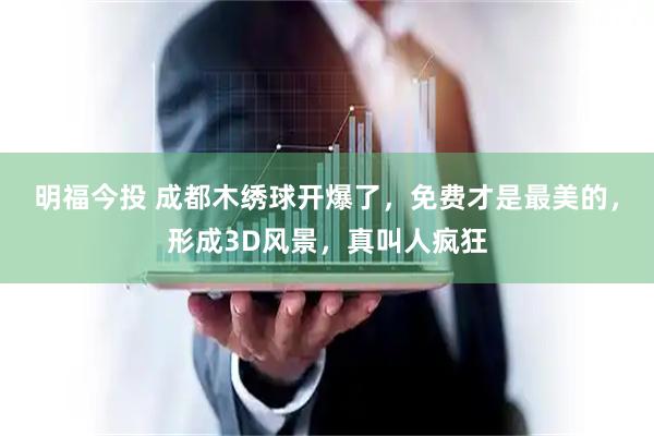 明福今投 成都木绣球开爆了,免费才是最美的,形成3D风景,真叫人疯狂
