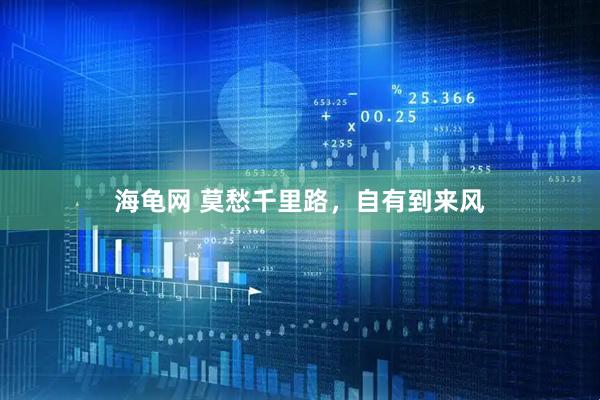 海龟网 莫愁千里路,自有到来风