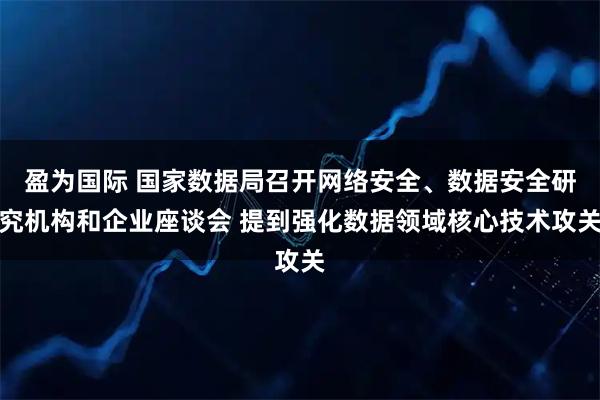 盈为国际 国家数据局召开网络安全、数据安全研究机构和企业座谈会 提到强化数据领域核心技术攻关