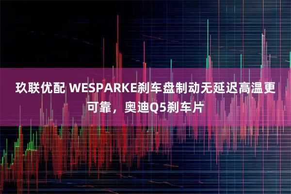 玖联优配 WESPARKE刹车盘制动无延迟高温更可靠，奥迪Q5刹车片