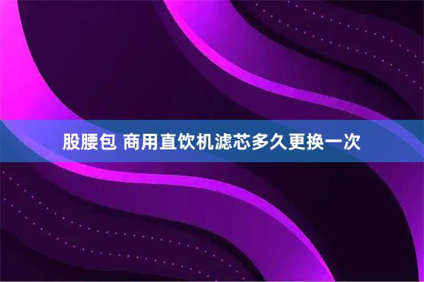 股腰包 商用直饮机滤芯多久更换一次