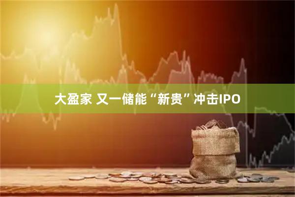 大盈家 又一储能“新贵”冲击IPO
