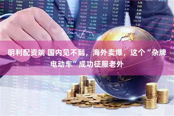 明利配资端 国内见不到，海外卖爆，这个“杂牌电动车”成功征服老外