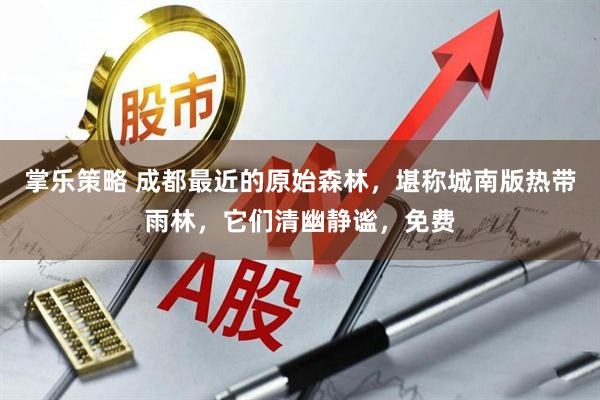 掌乐策略 成都最近的原始森林，堪称城南版热带雨林，它们清幽静谧，免费