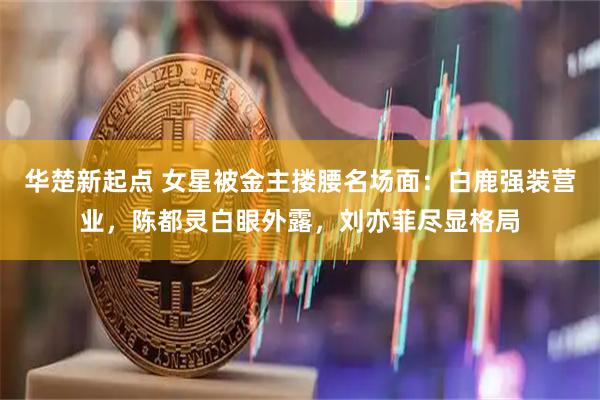 华楚新起点 女星被金主搂腰名场面：白鹿强装营业，陈都灵白眼外露，刘亦菲尽显格局