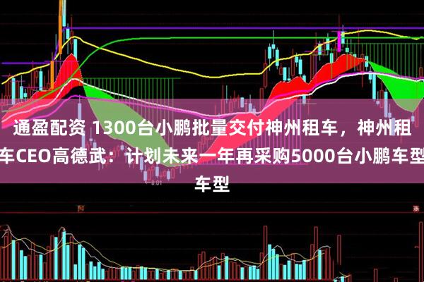 通盈配资 1300台小鹏批量交付神州租车,神州租车CEO高德武:计划未来一年再采购5000台小鹏车型