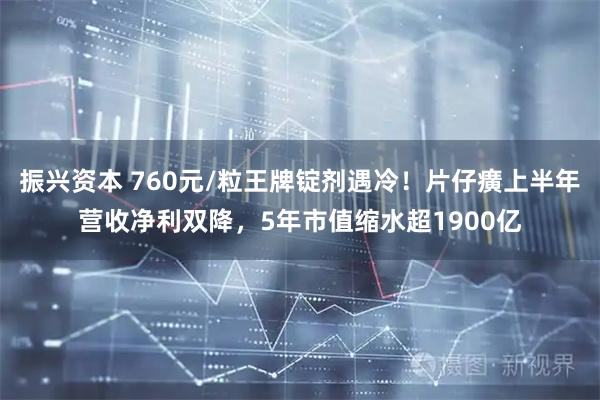 振兴资本 760元/粒王牌锭剂遇冷！片仔癀上半年营收净利双降，5年市值缩水超1900亿