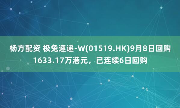 杨方配资 极兔速递-W(01519.HK)9月8日回购1633.17万港元,已连续6日回购